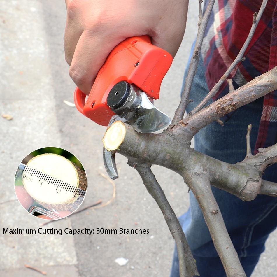 Saker Electric Branch Scissors