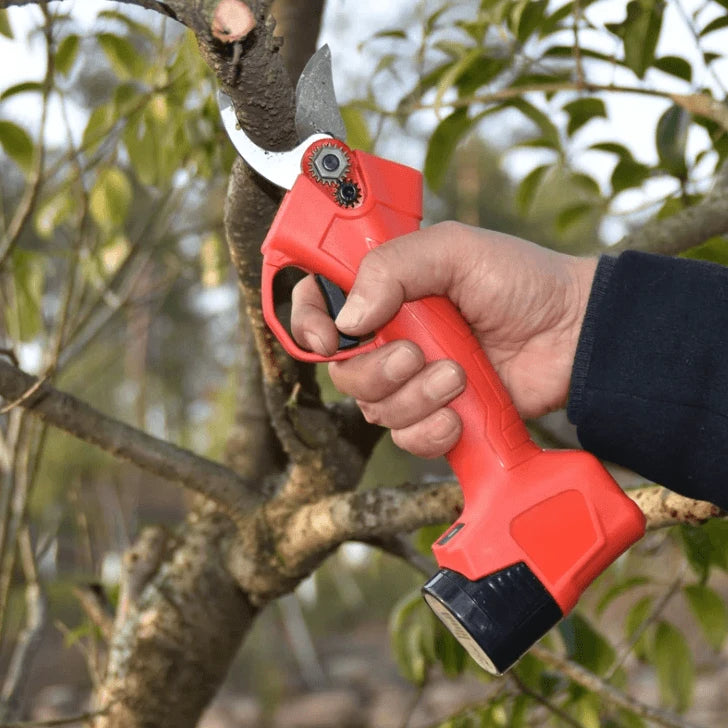 Saker Electric Branch Scissors