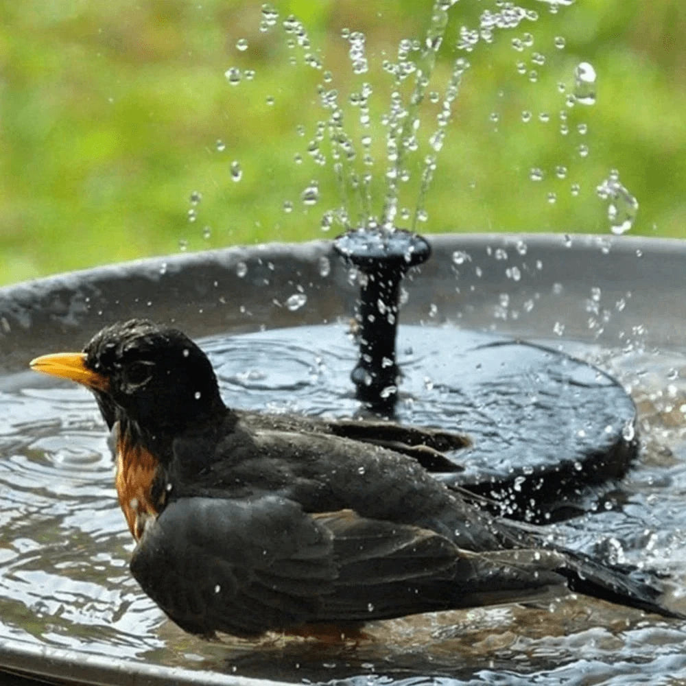 Saker Solar Powered Water Fountain