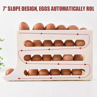 SAKER® Four-Layer Egg Storage Rack