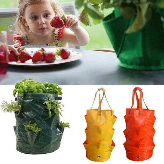 Saker Strawberry Planting Grow Bag