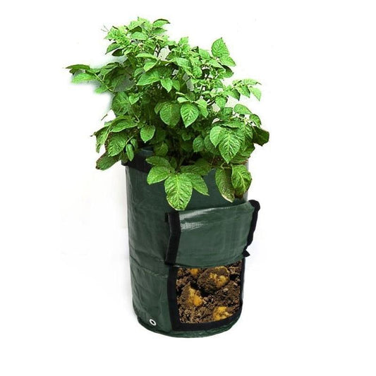 Saker Potato Grow Planter Bag