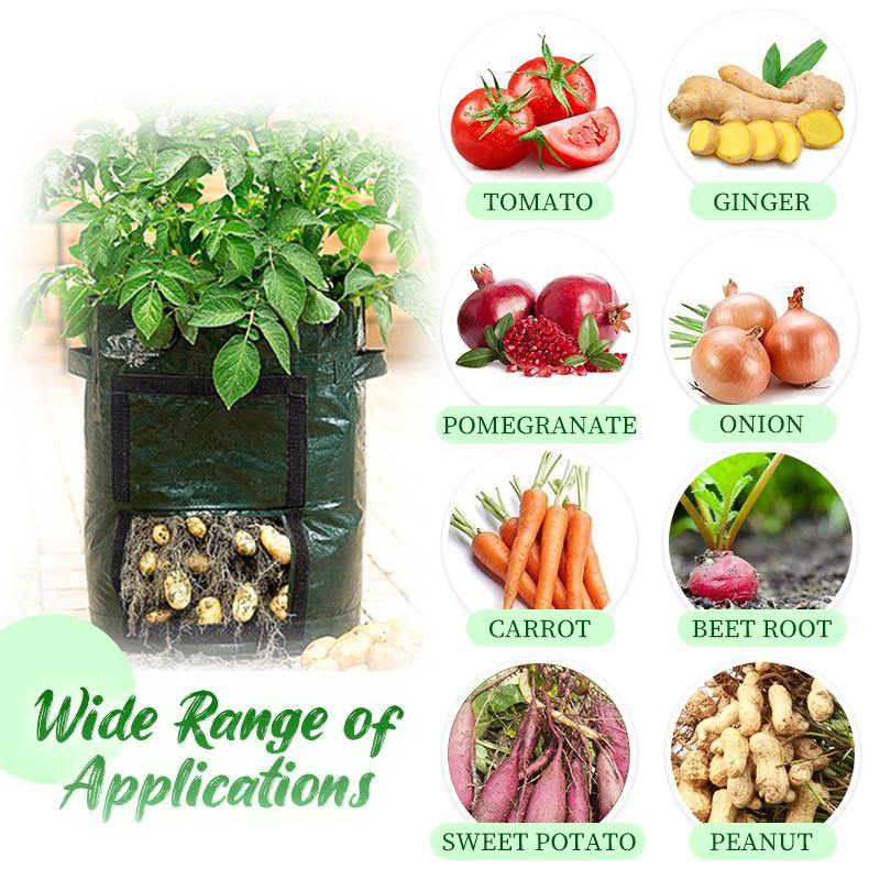 Saker Potato Grow Planter Bag