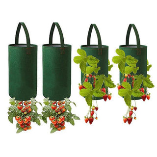 Saker Hanging Strawberry Planting Bag
