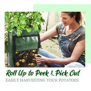 Saker Potato Grow Planter Bag