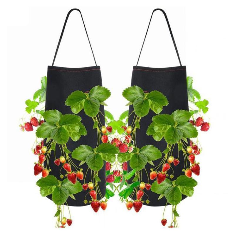 Saker Hanging Strawberry Planting Bag