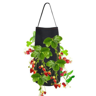 Saker Hanging Strawberry Planting Bag