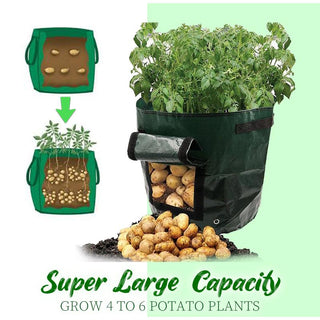 Saker Potato Grow Planter Bag